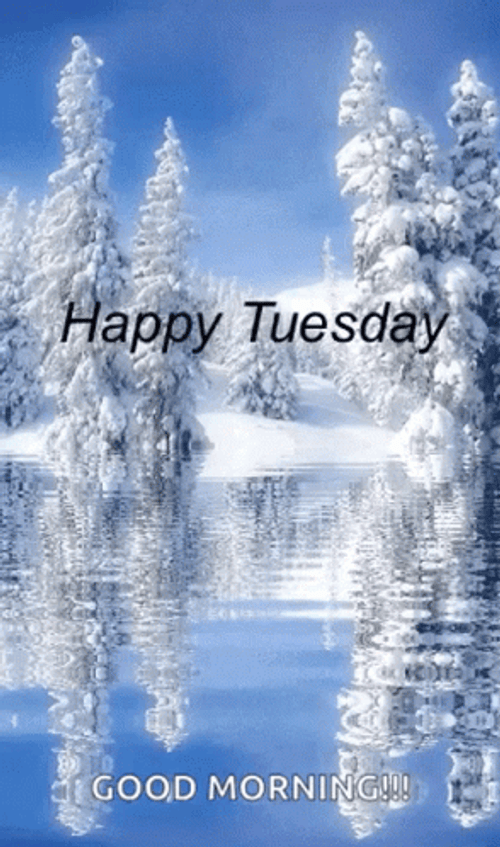 Good Morning Winter Snow At The Lake GIF