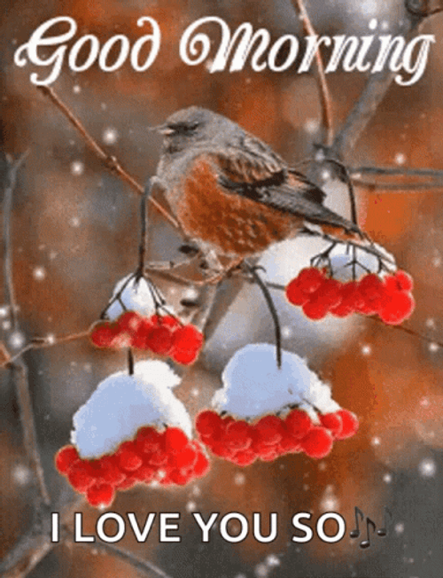 Good Morning Winter Snowfall On Bird GIF