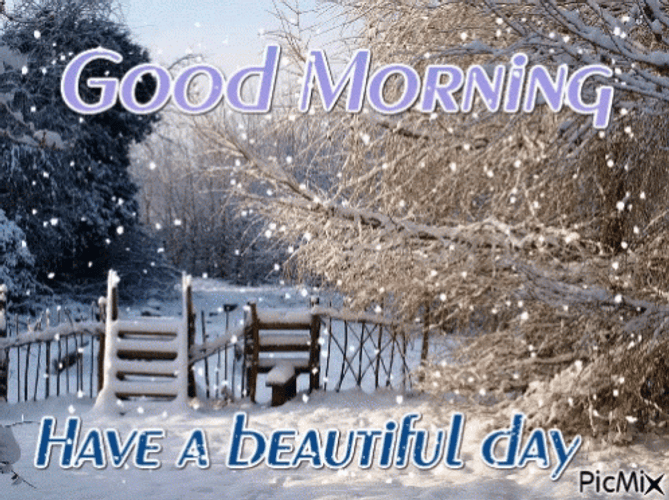 Good Morning Winter Snowing At Backyard GIF