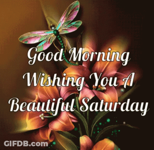 Good Morning Wishing You A Beautiful Saturday With Dragonfly And Flowers GIF