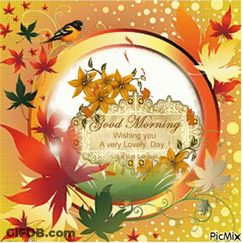Good Morning Wishing You A Lovely Day Greeting Card GIF