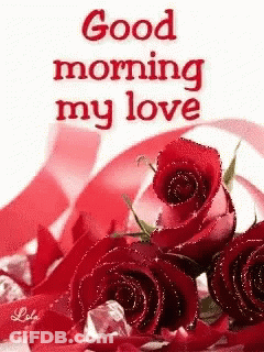 Good Morning With Red Roses And Ribbon GIF