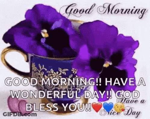 Good Morning Wonderful Day God Bless You GIF