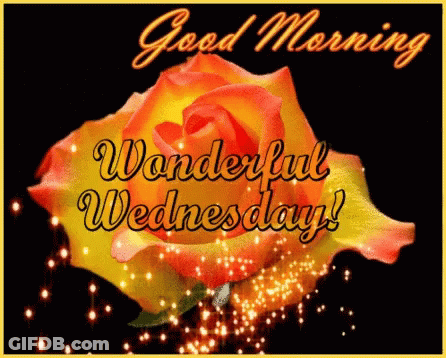 Good Morning Wonderful Wednesday Card With Rose GIF