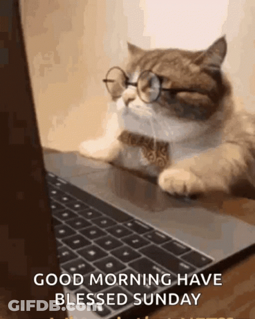 Good Morning Working On Sunday Be Blessed GIF