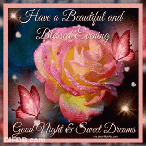 Good Night And Sweet Dreams Pink Rose Butterflies GIF
