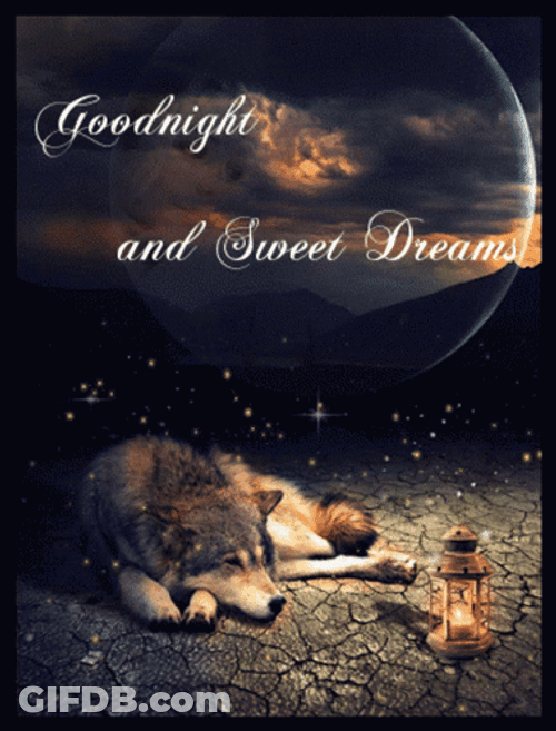 Good Night And Sweet Dreams Wolf And Moon GIF