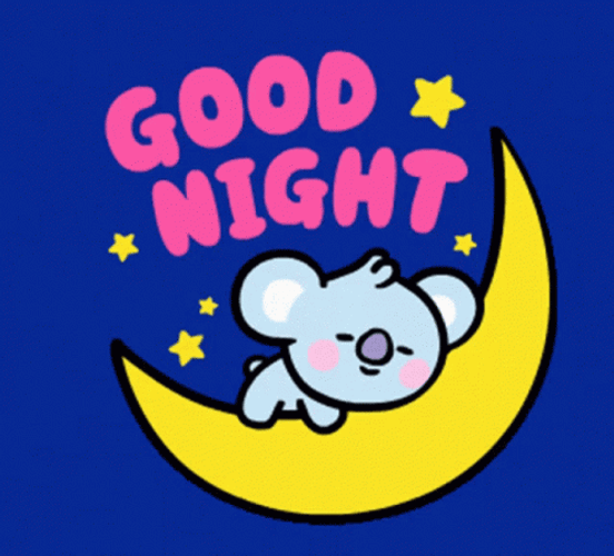 Good Night Animated Koala Sleeping GIF