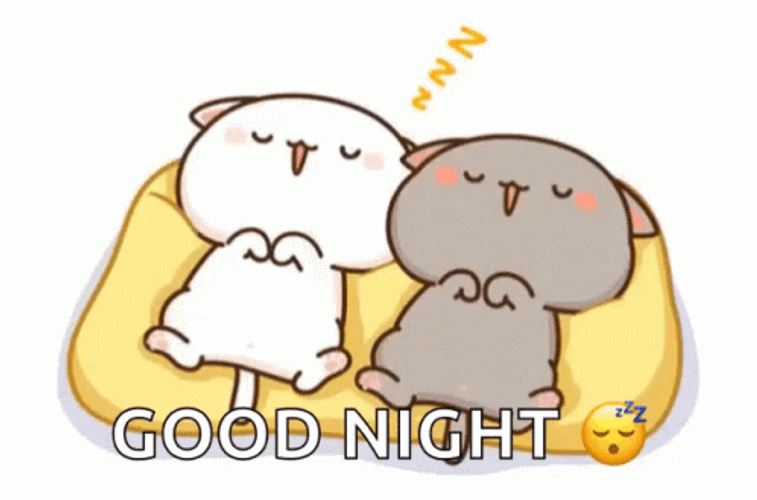 Good Night Animated Peach Cat Couple GIF