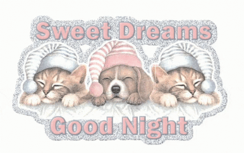 Good Night Animated Sweet Dreams GIF