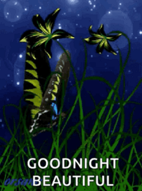 Good Night Beautiful Butterfly And Floating Lights GIF