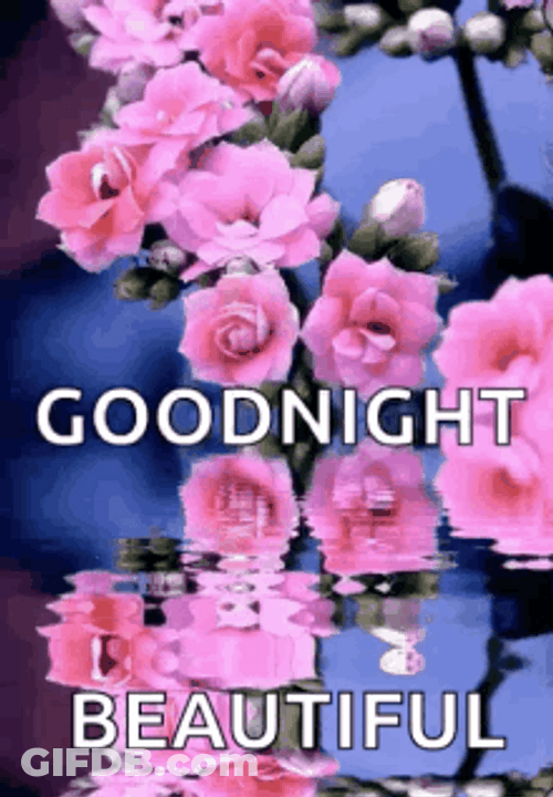 Good Night Beautiful Pink Flowers With Reflection GIF