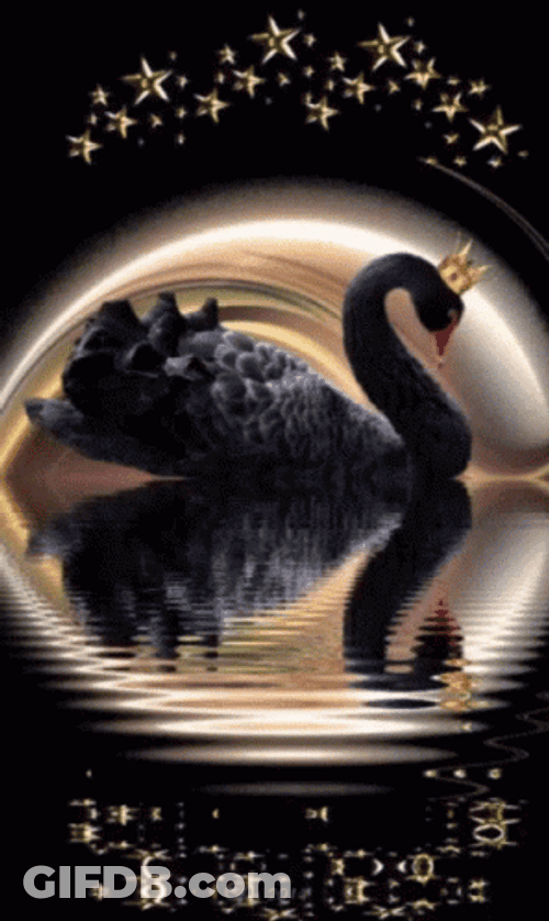 Good Night Black Swan GIF