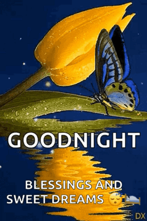 Good Night Blessings And Sweet Dreams Dear GIF