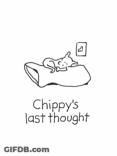 Good Night Chippy The Dog GIF