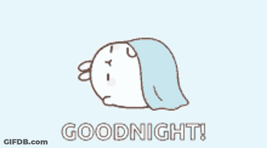 Good Night Cute Bunny Blanket Cover Sleep GIF