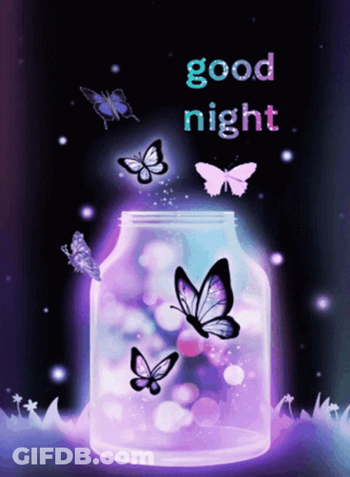 Good Night Cute Butterflies GIF