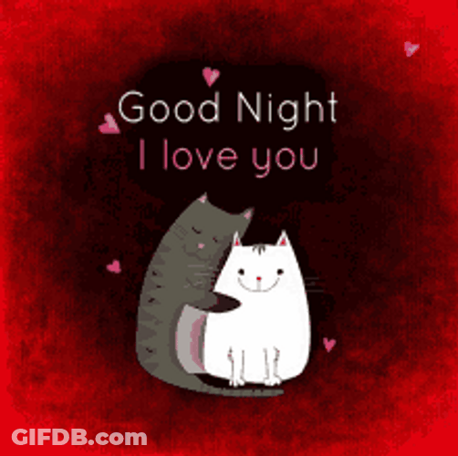 Good Night Cute Cats Couple I Love You GIF