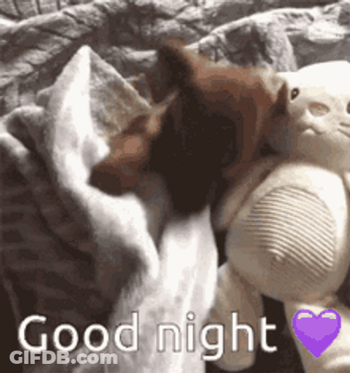 Good Night Cute Dog Stuffed Toy Sleeping Bed GIF