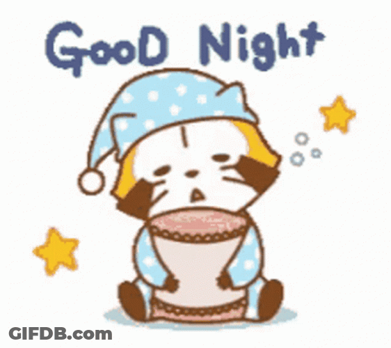 Good Night Cute Raccoon GIF