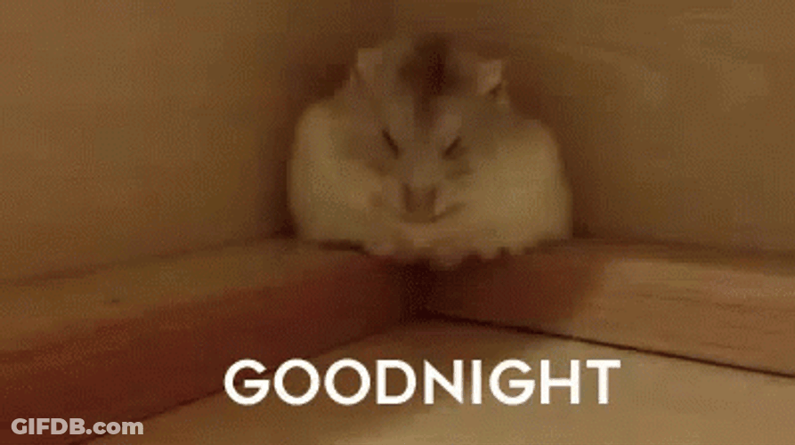 Good Night Cute Sleepy Hamster Roll GIF