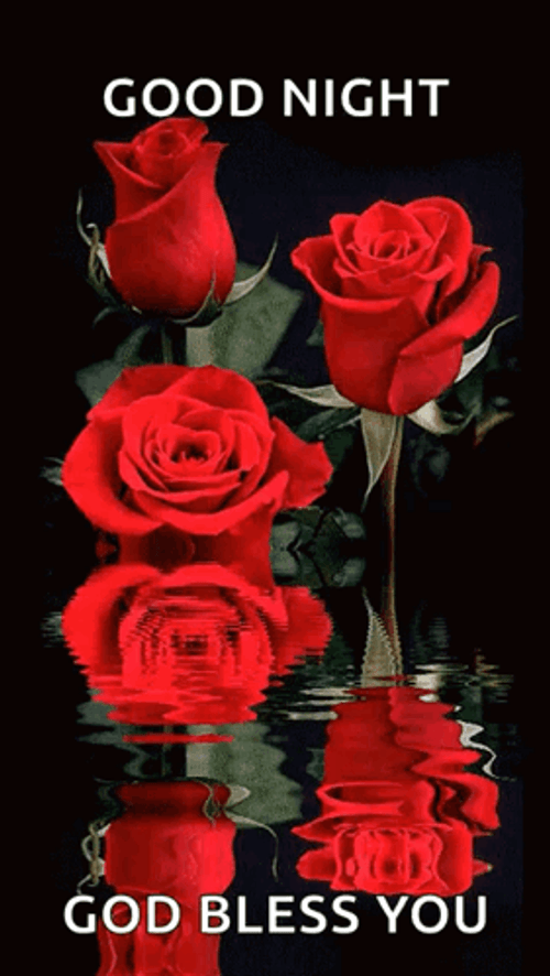 Good Night Everybody And God Bless GIF