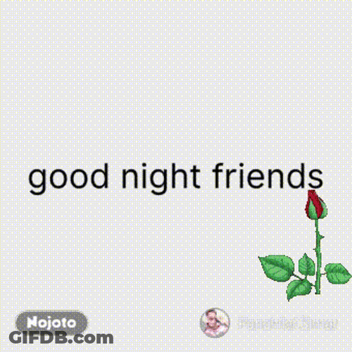 Good Night Friends Blooming Flower Visual Art GIF