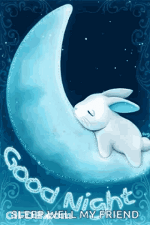 Good Night Friends Sleeping Bunny Visual Creation GIF