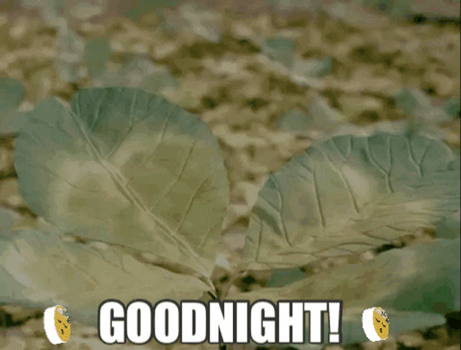 Good Night Funny Baby Falling GIF