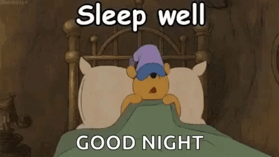 Good Night Funny No Sleep Winnie GIF