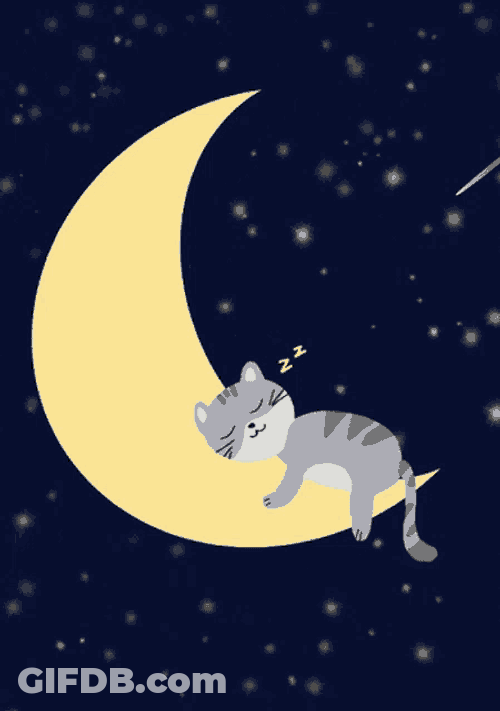 Good Night GIF