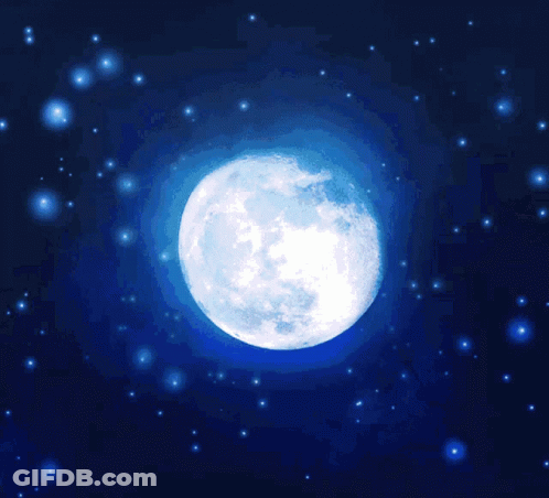 Good Night GIF