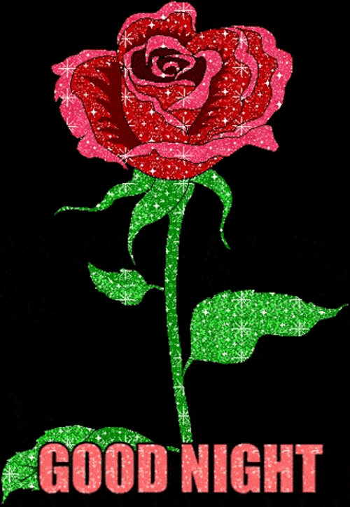 Good Night Glittered Red Rose GIF