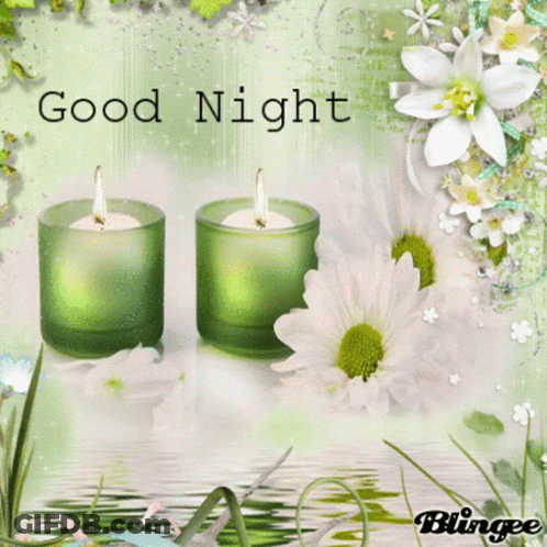Good Night Greeting Card With Two Green Candles And Flowers GIF