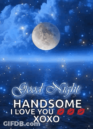 Good Night Handsome I Love You Xoxo GIF