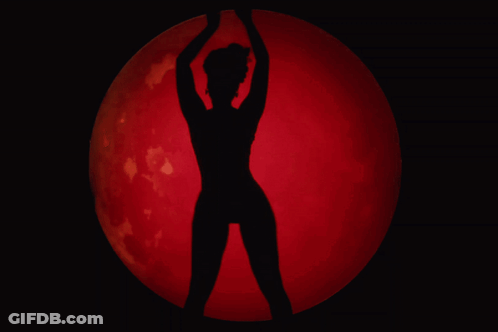 Good Night Honey Bunny Sweet Dreams Love You To The Moon And Back A Million Times GIF