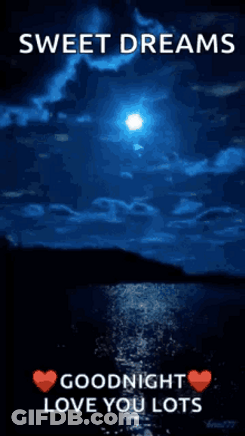 Good Night I Love You GIF