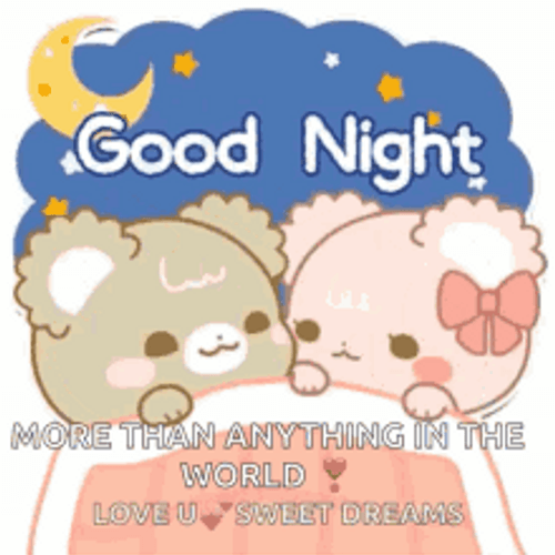Good Night I Love You GIF