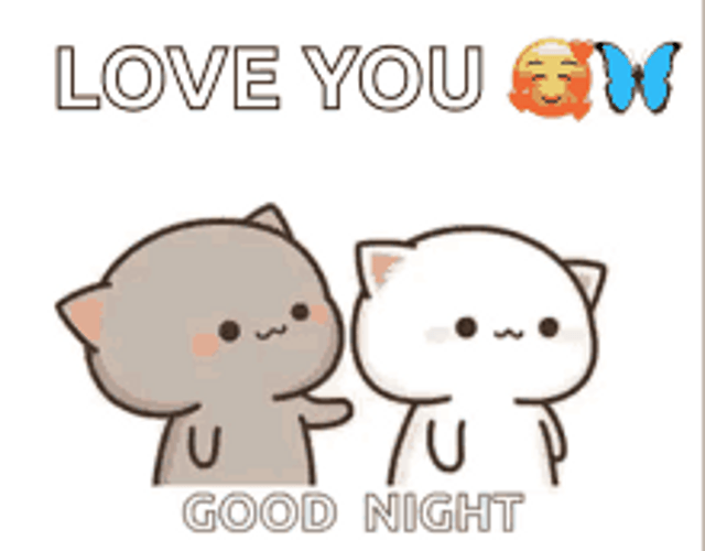 Good Night I Love You Peach Cat Kiss GIF