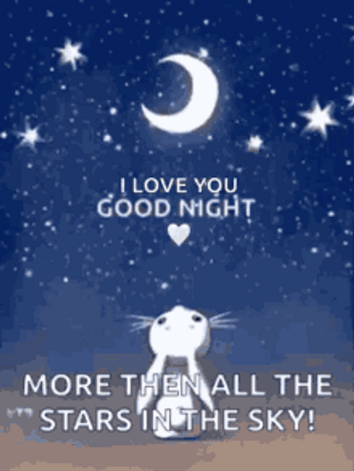 Good Night I Love You Rabbit Stars Sky GIF