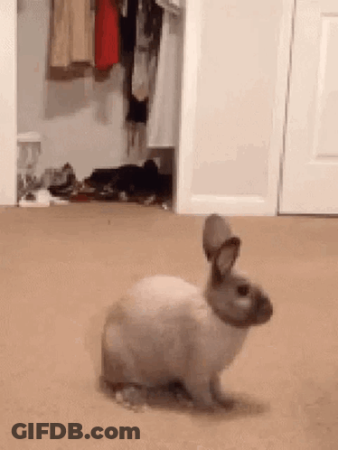 Good Night I Love You Sweet Dreams GIF