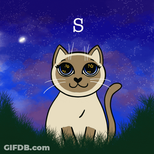 Good Night Kawaii Cat GIF