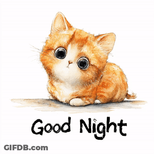 Good Night Kitten GIF