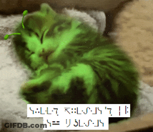 Good Night Kitty GIF