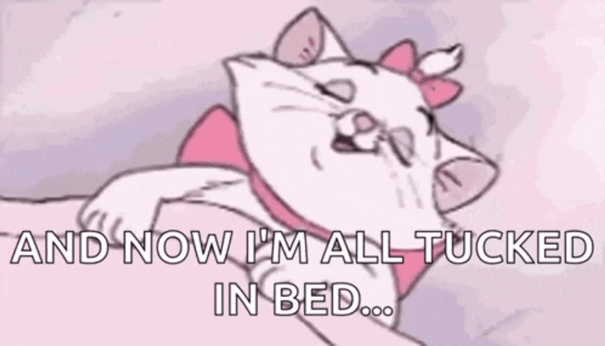 Good Night Kitty GIF