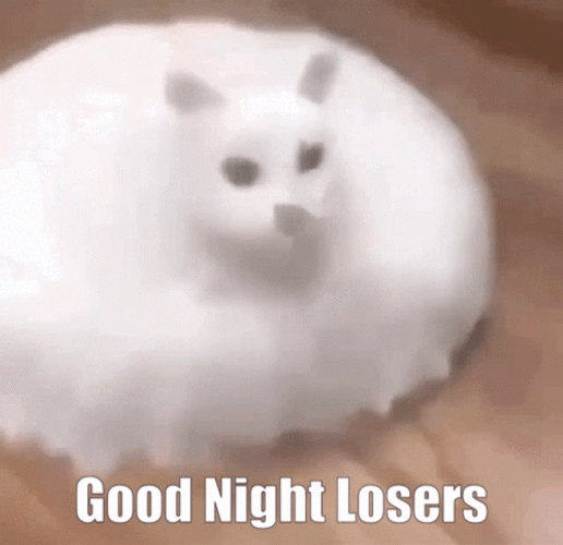 Good Night Losers GIF