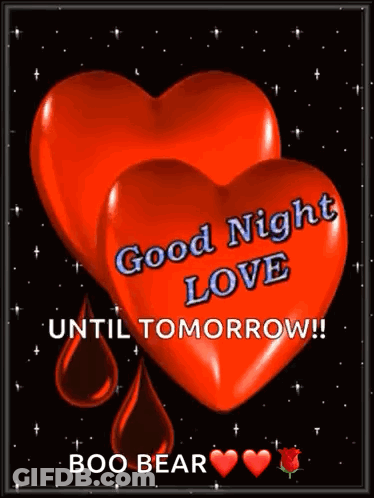Good Night Love Until Tomorrow Boo Bear GIF