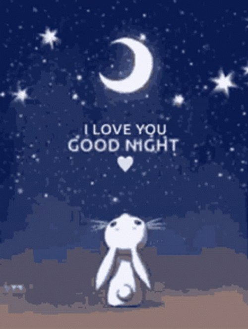 Good Night Love You Animated Bunny Looking Stars GIF
