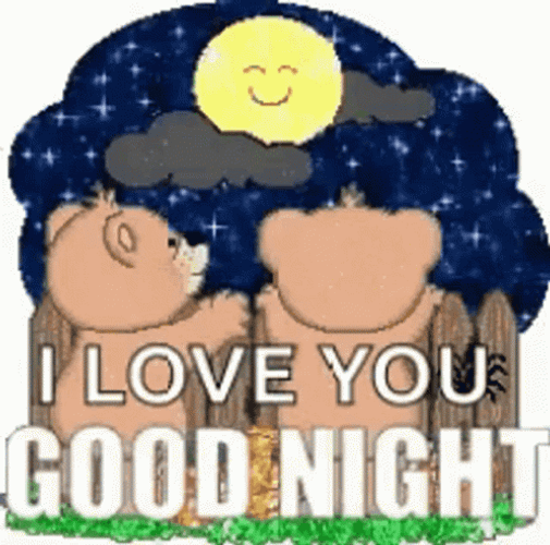 Good Night Love You Bears Looking Moon Sparkle GIF