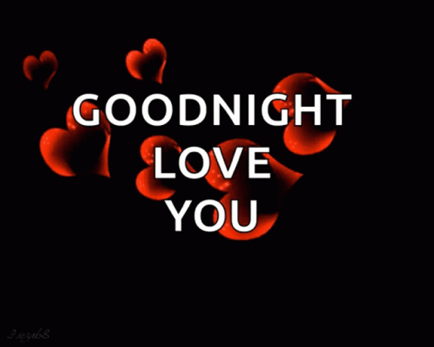 Good Night Love You Flower Heart Petals GIF